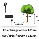 eclairage-olivier-6000K