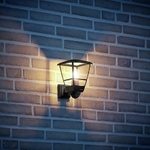 181688_CloseUp_L 10 S