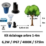 eclairage-arbresol