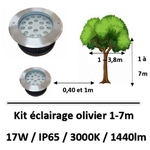 eclairage-olivier