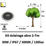 eclairage-arbre