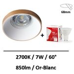 spot-led-blanc-or-led