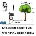 eclairage-olivier-philips-20W