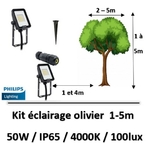 eclairage-olivier-philips-50W