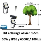 eclairage-arbre-philips