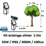 eclairage-philips-olivier
