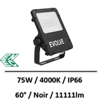 evolve-75w-lebenoid