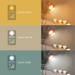 ampoule-led-a60-culot-e27-10w-cons-75w-eq-cct-temperature-de-lumiere-variable-2700k-6000k (1)