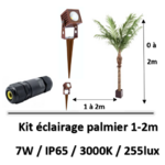 eclairage-palmier