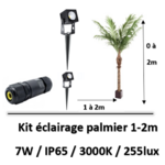 eclairage-palmier