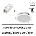 ter-13-lited
