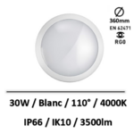 fog-be-led