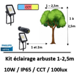 eclairage-arbuste