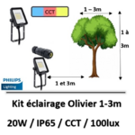 eclairage-olivier