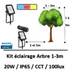 eclairage-arbre