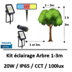 eclairage-arbre