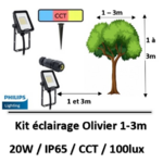 eclairage-olivier