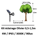 eclairage-olivier