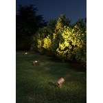 Sair-corten-ambient-Beneito-Faure