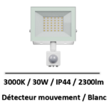 projecteur-led-spectrum-30W