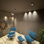 udeo ceiling