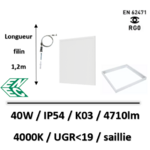 lited-azure-saillie