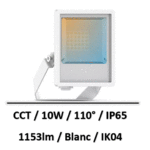 Projecteur LED Blanc 10W CCT IP65
