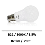 B22-8W