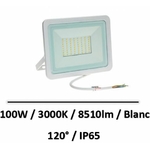 projecteur-blanc-100W