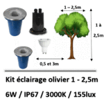eclairage-olivier