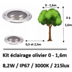 eclairage-olivier-led