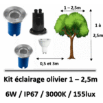 eclairage-olivier
