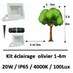 ECLAIRAGE-olivier
