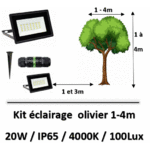 eclairage-led-olivier