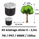 eclairage-olivier