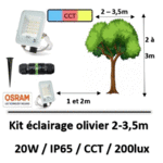eclairage-olivier