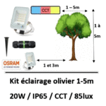 eclairage-led-olivier