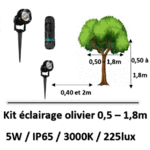 eclairage-olivier-led