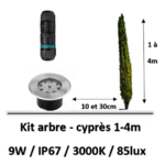eclairage-arbre