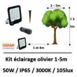 eclairage-olivier