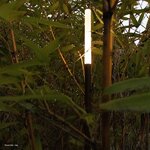 REA_AMB-1