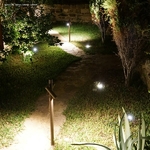Xante ADJ