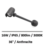 FOC580