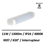 eo-lebenoid