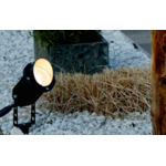 TE_ATH_MARY_APPLICATION_01_550x300.width-400
