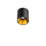 01-202307-shotlight_s_surface-001-NTMG