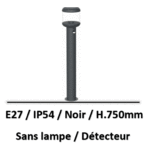 borne-avec-detecteur