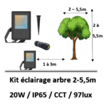 eclairage-arbre-CCT