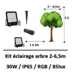 eclairage-darbre-rgb