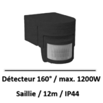 detecteur-mouvement-noir
